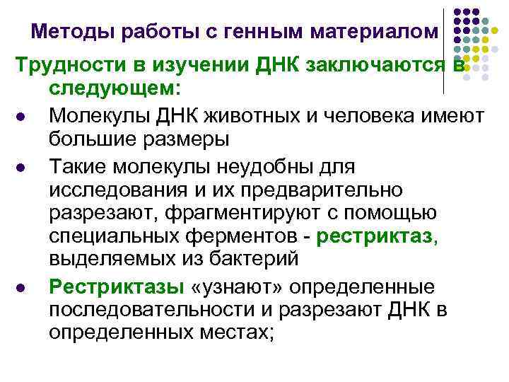 Методы работы с генным материалом Трудности в изучении ДНК заключаются в следующем: l Молекулы