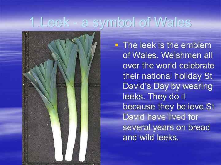 1. Leek - a symbol of Wales § The leek is the emblem of