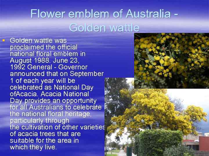 Flower emblem of Australia - Golden wattle § Golden wattle was proclaimed the official