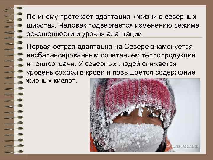 По-иному протекает адаптация к жизни в северных широтах. Человек подвергается изменению режима освещенности и