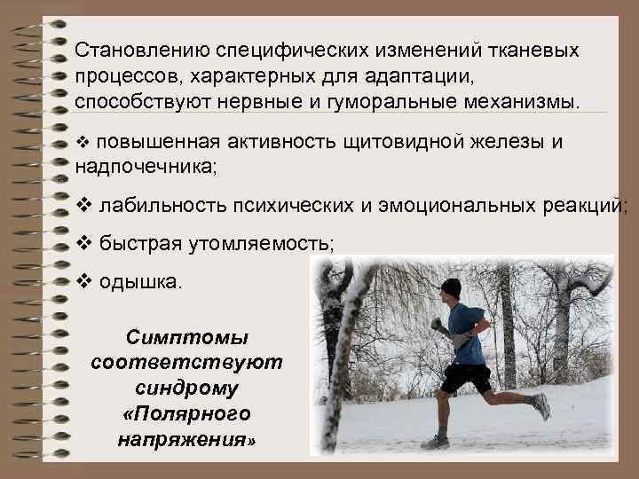 Становлению специфических изменений тканевых процессов, характерных для адаптации, способствуют нервные и гуморальные механизмы. v
