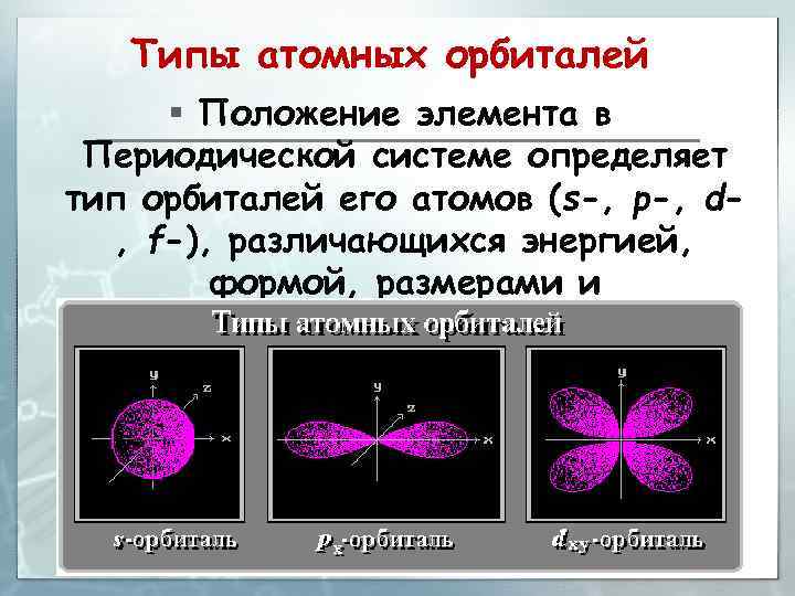 Типы атомных орбиталей § Положение элемента в Периодической системе определяет тип орбиталей его атомов