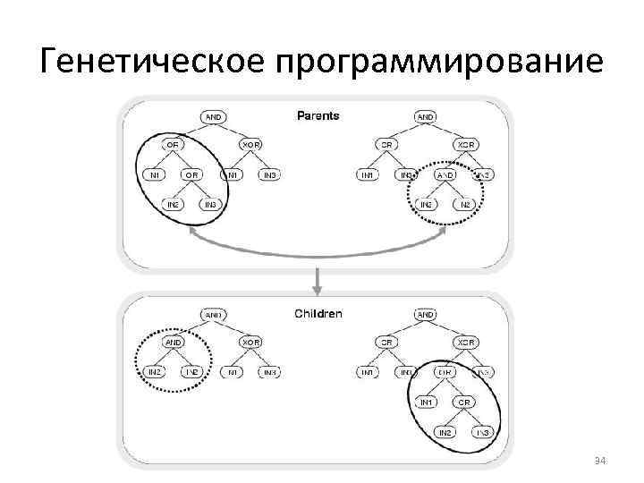 Генетическое программирование 34 