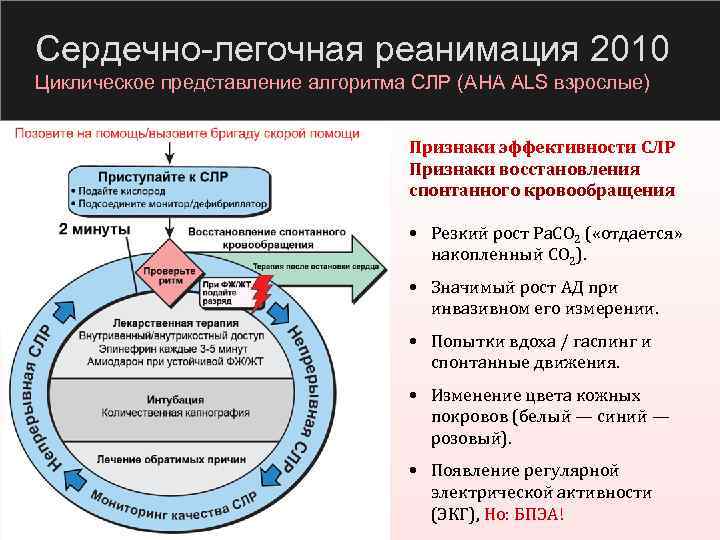 Сердечно-легочная реанимация 2010 Циклическое представление алгоритма СЛР (AHA ALS взрослые) Признаки эффективности СЛР Признаки