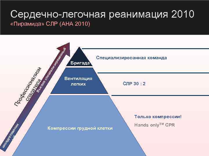 Сердечно-легочная реанимация 2010 Специализированная команда иа ли Бригада Вентиляция легких СЛР 30 : 2