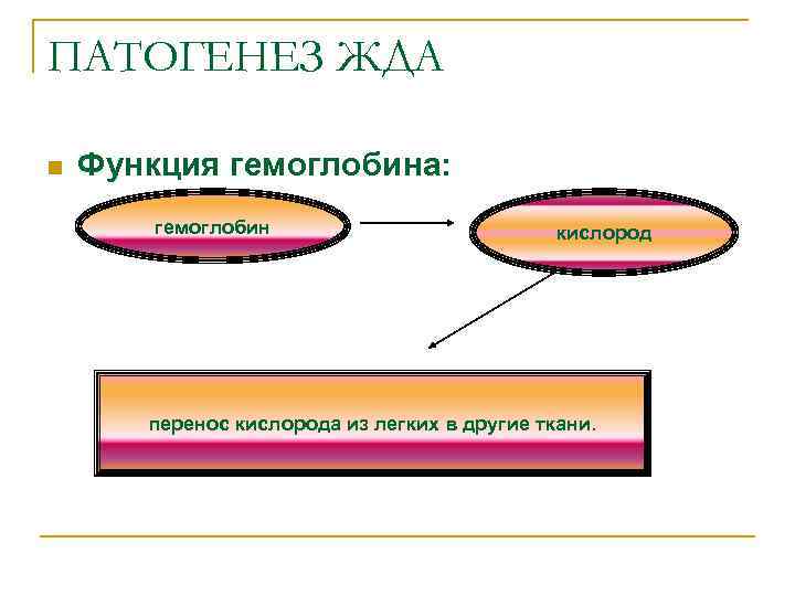 ПАТОГЕНЕЗ ЖДА n Функция гемоглобина: гемоглобин кислород перенос кислорода из легких в другие ткани.