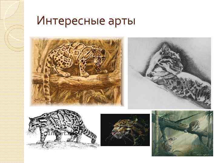 Интересные арты 