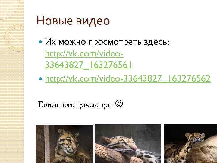 Новые видео Их можно просмотреть здесь: http: //vk. com/video 33643827_163276561 http: //vk. com/video-33643827_163276562 Приятного