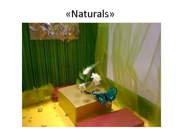  «Naturals» 