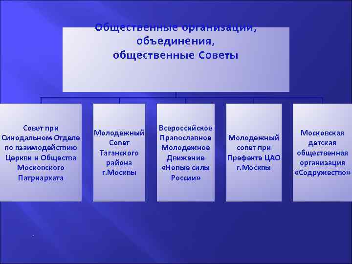 Общественные организации, объединения, общественные Советы Совет при Синодальном Отделе по взаимодействию Церкви и Общества