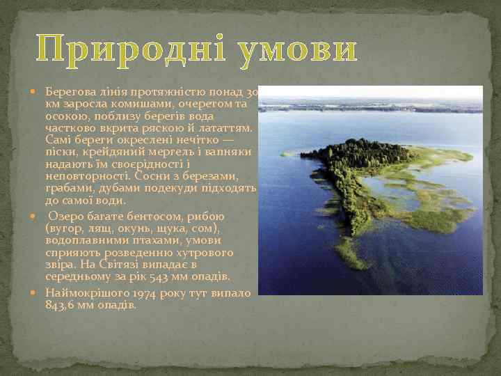 Природні умови Берегова лінія протяжністю понад 30 км заросла комишами, очеретом та осокою, поблизу