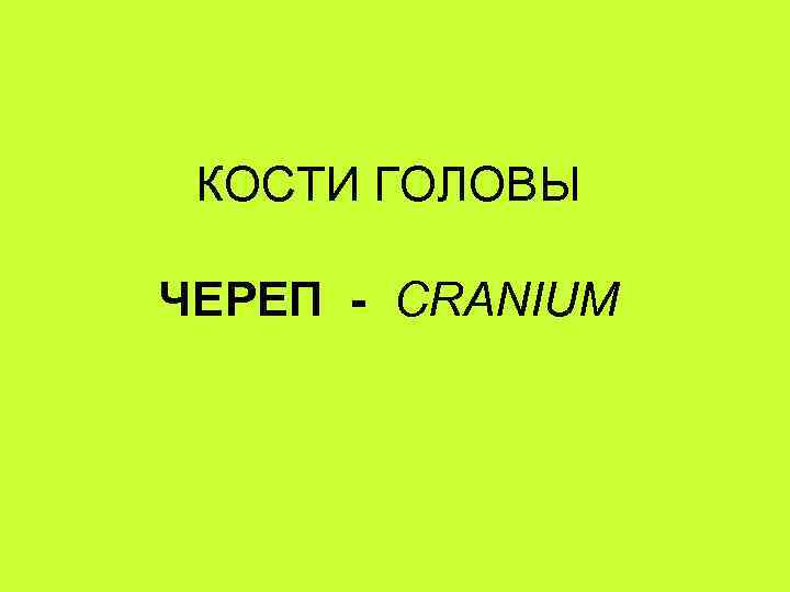 КОСТИ ГОЛОВЫ ЧЕРЕП - CRANIUM 