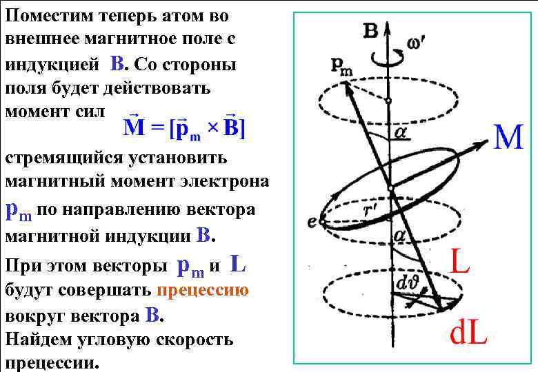 Поместим теперь атом во внешнее магнитное поле с индукцией В. Со стороны поля будет