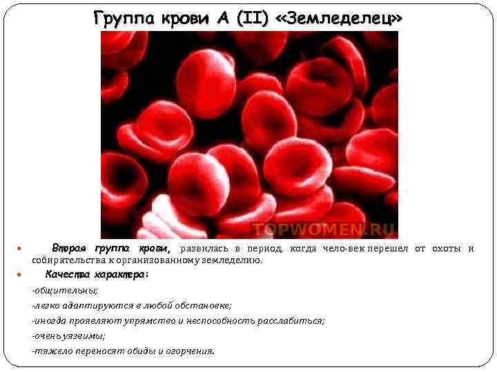 Презентация на тему группа крови