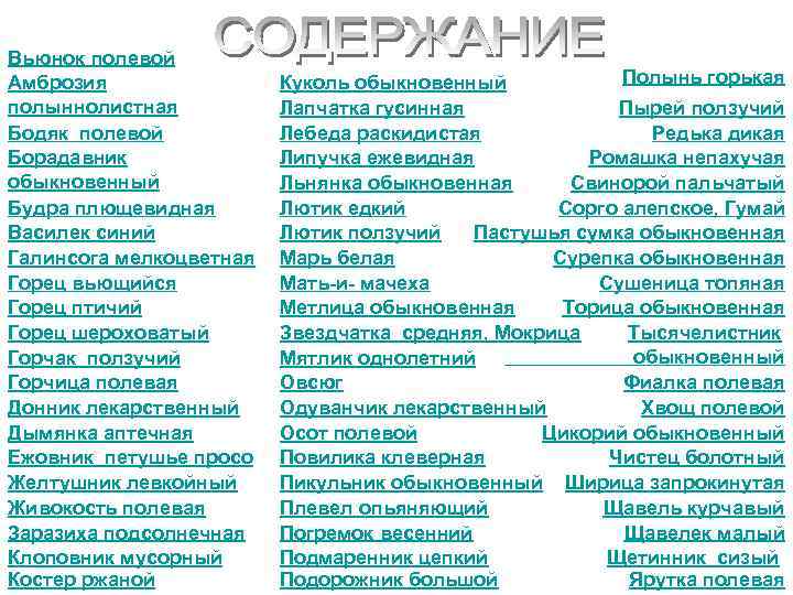 Вьюнок полевой Амброзия полыннолистная Бодяк полевой Борадавник обыкновенный Будра плющевидная Василек синий Галинсога мелкоцветная