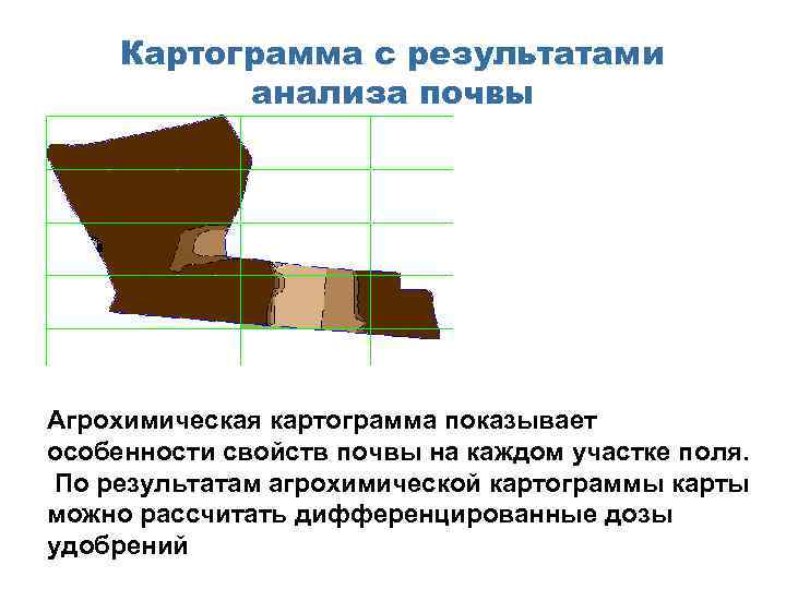Картограмма с результатами анализа почвы Агрохимическая картограмма показывает особенности свойств почвы на каждом участке