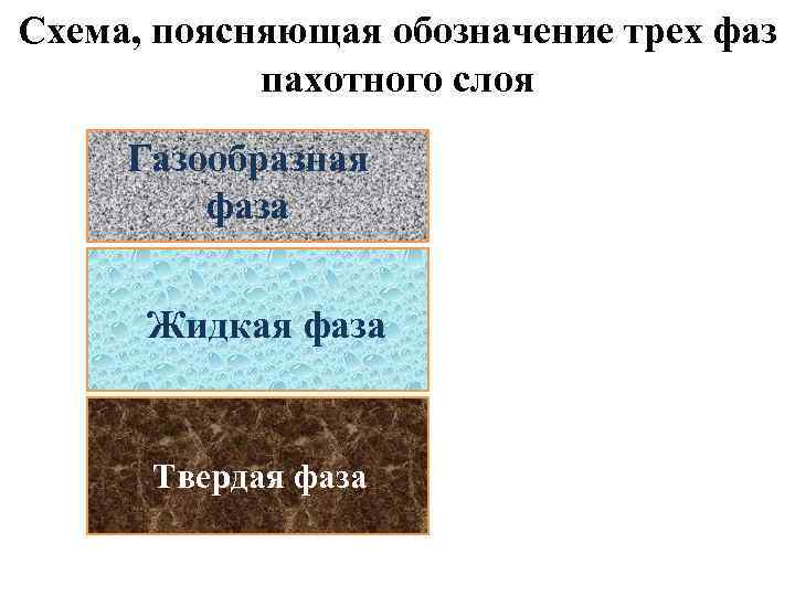 Схема, поясняющая обозначение трех фаз пахотного слоя Газообразная фаза Жидкая фаза Твердая фаза 