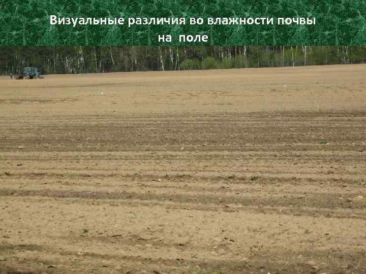 Визуальные различия во влажности почвы на поле 