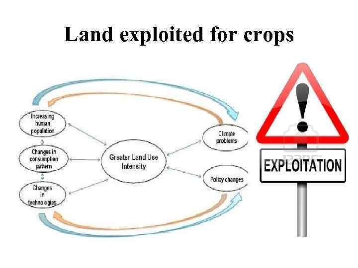 Land exploited for crops 