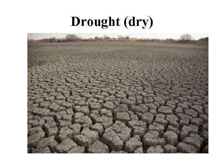 Drought (dry) 