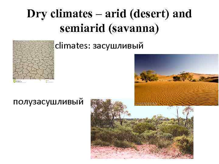 Dry climates – arid (desert) and semiarid (savanna) climates: засушливый полузасушливый 