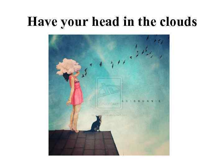 Have your head in the clouds 