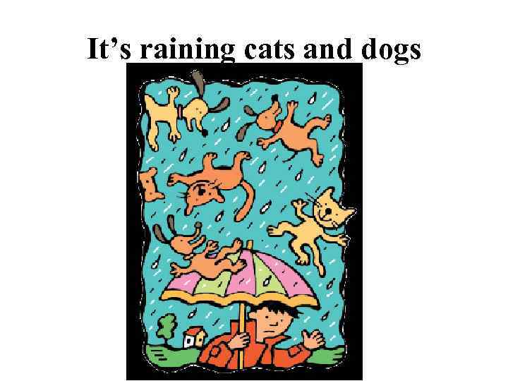 It’s raining cats and dogs 