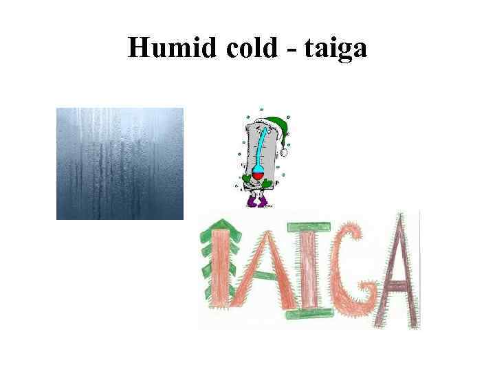 Humid cold - taiga 