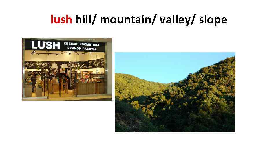 lush hill/ mountain/ valley/ slope 