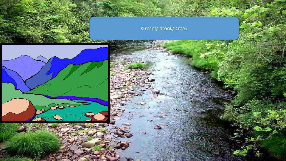 Brook stream/ brook/ creek 