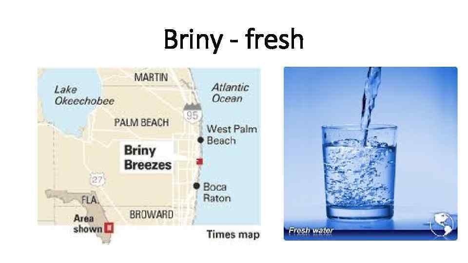 Briny - fresh 
