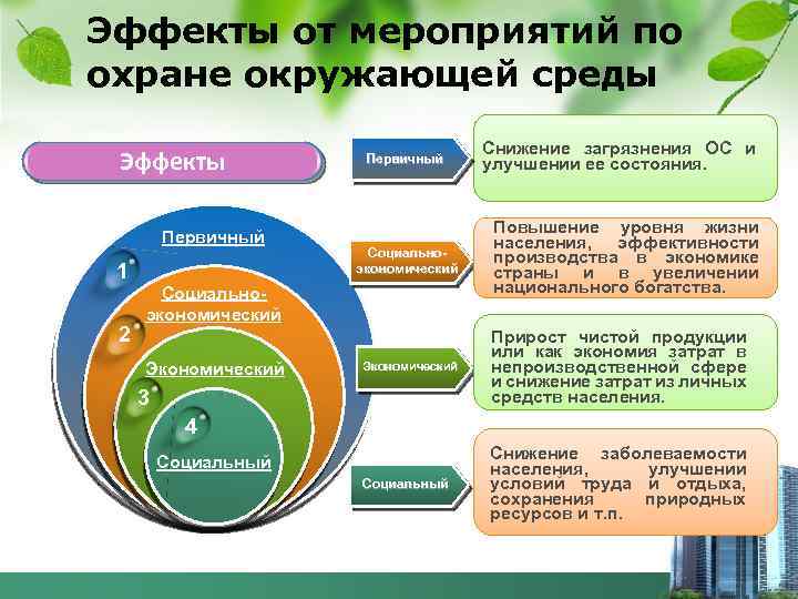 Планы программы мероприятия по охране окружающей среды образец