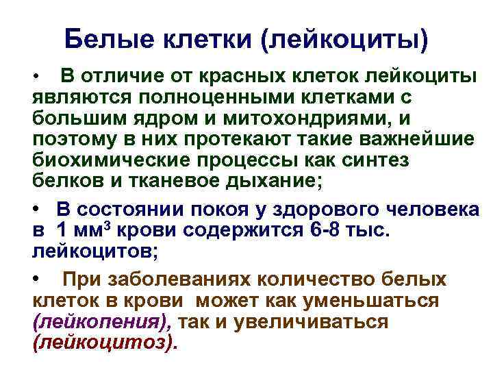Белые клетки (лейкоциты) В отличие от красных клеток лейкоциты являются полноценными клетками с большим