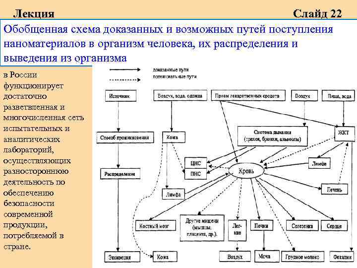 Лекция Слайд 22 Обобщенная схема доказанных и возможных путей поступления наноматериалов в организм человека,