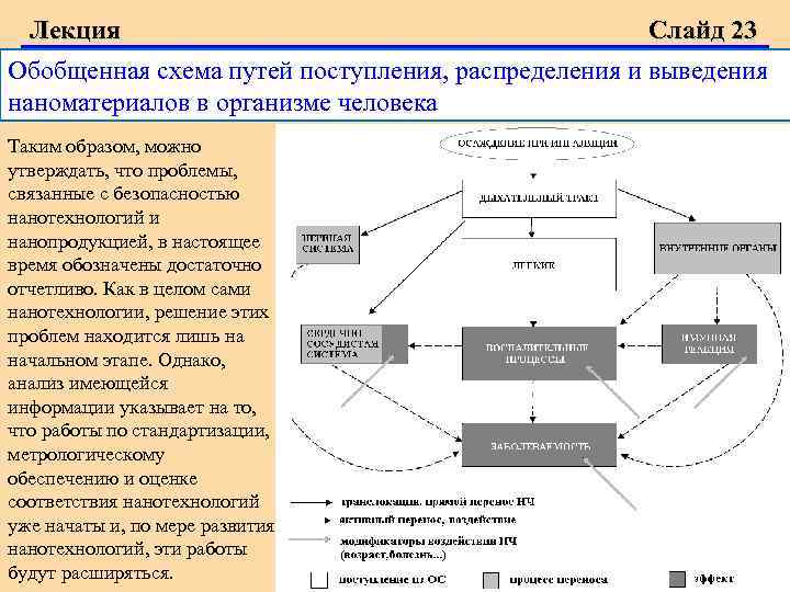 Лекция Слайд 23 Обобщенная схема путей поступления, распределения и выведения наноматериалов в организме человека