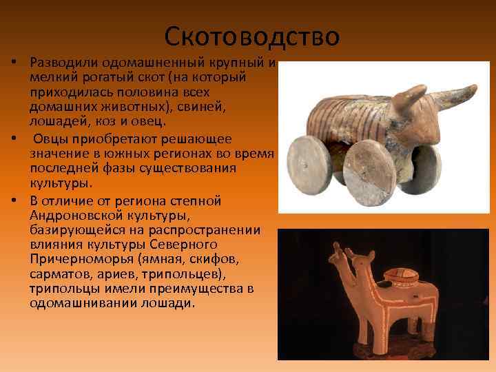 Скотоводство • Разводили одомашненный крупный и мелкий рогатый скот (на который приходилась половина всех