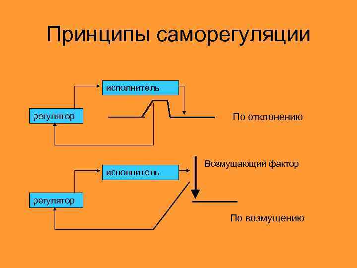 Принципы саморегуляции исполнитель регулятор По отклонению исполнитель Возмущающий фактор регулятор По возмущению 