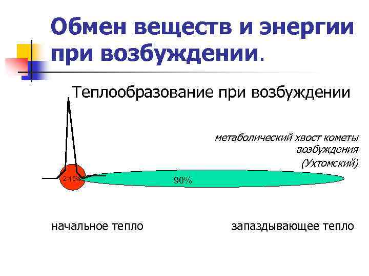 Обмен веществ и энергии при возбуждении. Теплообразование при возбуждении метаболический хвост кометы возбуждения (Ухтомский)