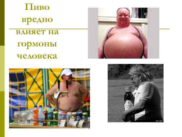 Пиво вредно влияет на гормоны человека 