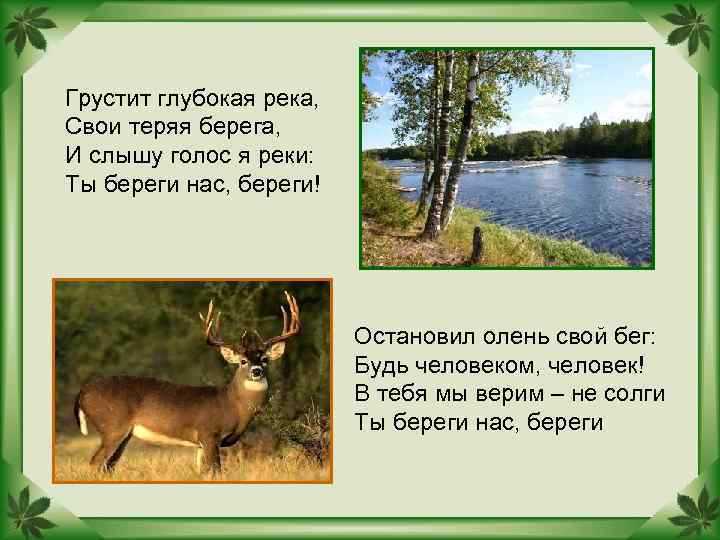 Грустит глубокая река, Свои теряя берега, И слышу голос я реки: Ты береги нас,