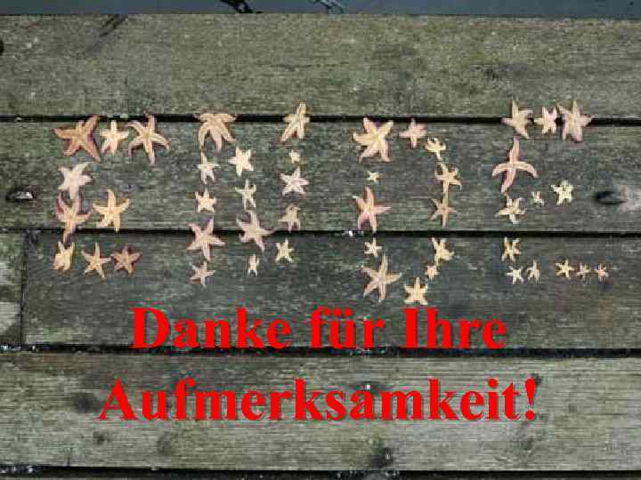 Danke für Ihre Aufmerksamkeit! 