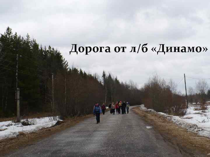 Дорога от л/б «Динамо» 