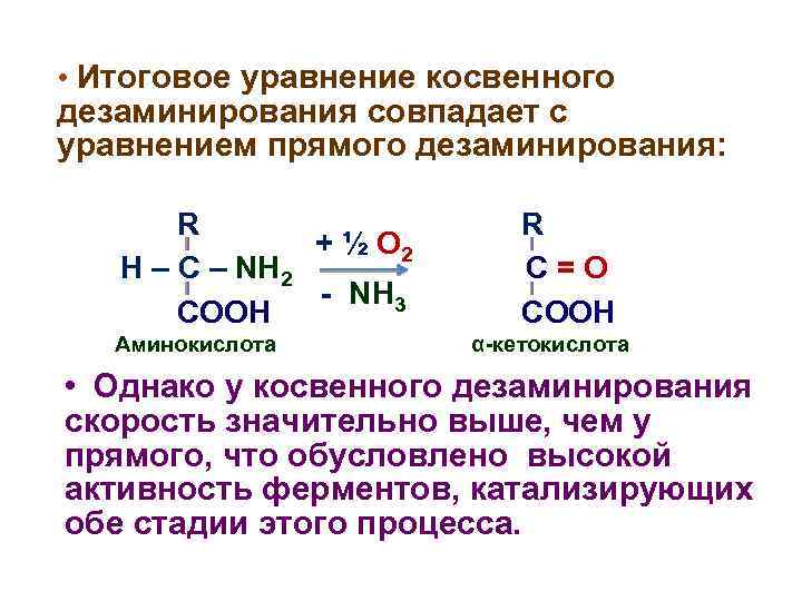  • Итоговое уравнение косвенного дезаминирования совпадает с уравнением прямого дезаминирования: R + ½