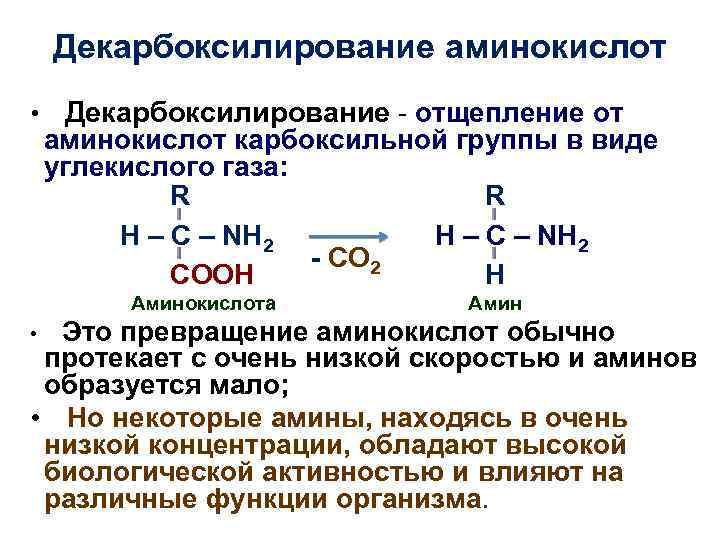 Декарбоксилирование аминокислот • Декарбоксилирование - отщепление от аминокислот карбоксильной группы в виде углекислого газа: