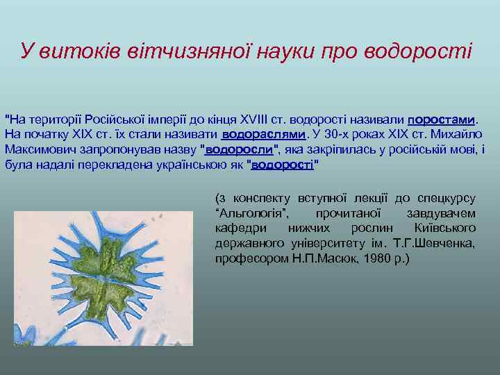 У витоків вітчизняної науки про водорості 