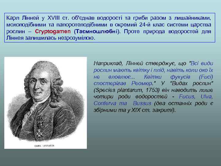 Карл Лінней у XVIII ст. об'єднав водорості та гриби разом з лишайниками, мохоподібними та
