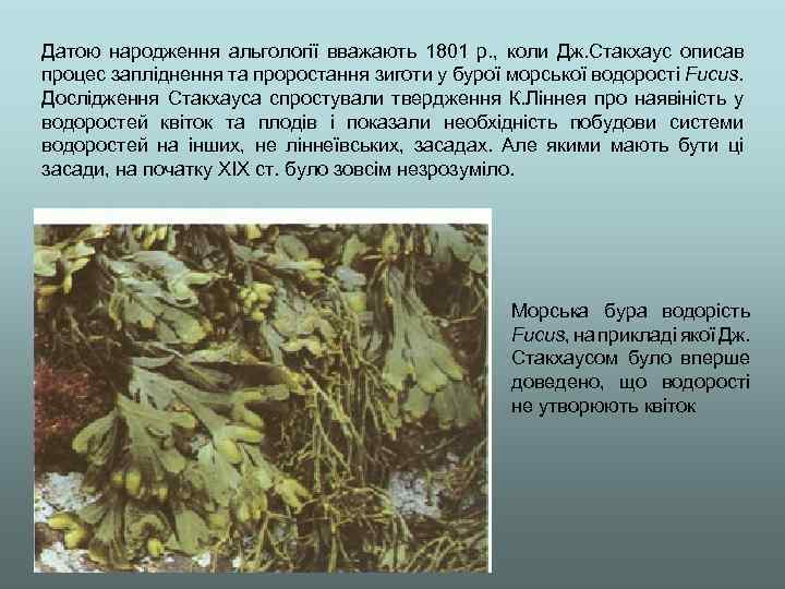 Датою народження альгології вважають 1801 р. , коли Дж. Стакхаус описав процес запліднення та