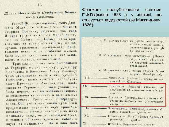 Фрагмент неопублікованої системи Г. Ф. Гофмана 1826 р. у частині, що стосується водоростей (за