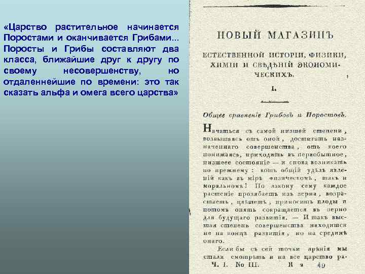  «Царство растительное начинается Поростами и оканчивается Грибами. . . Поросты и Грибы составляют