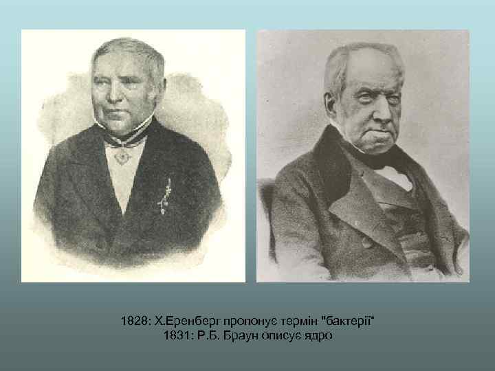 1828: Х. Еренберг пропонує термін 
